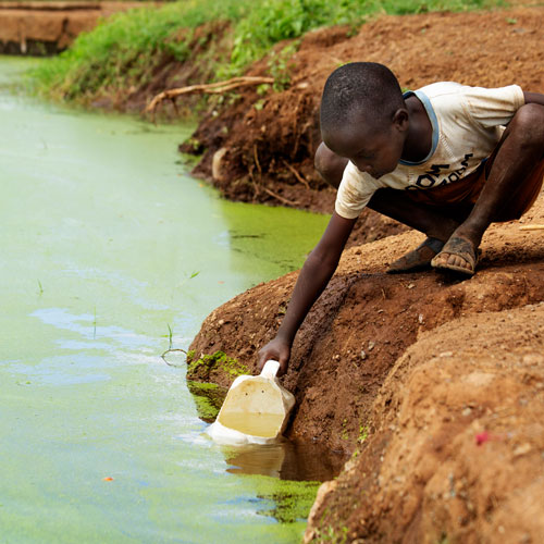 Bringing Clean Water to the Children of the Masai Mara